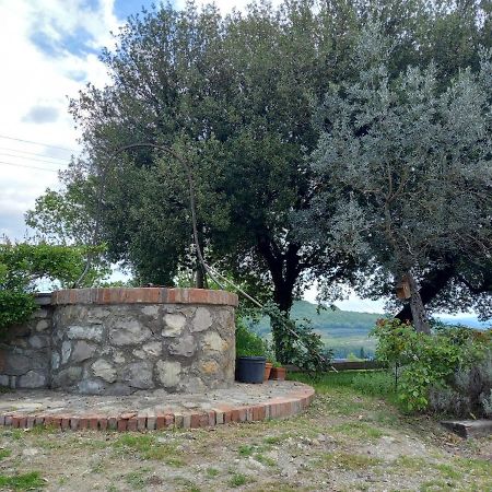 Agriturismo Riparossa 알레로나 외부 사진