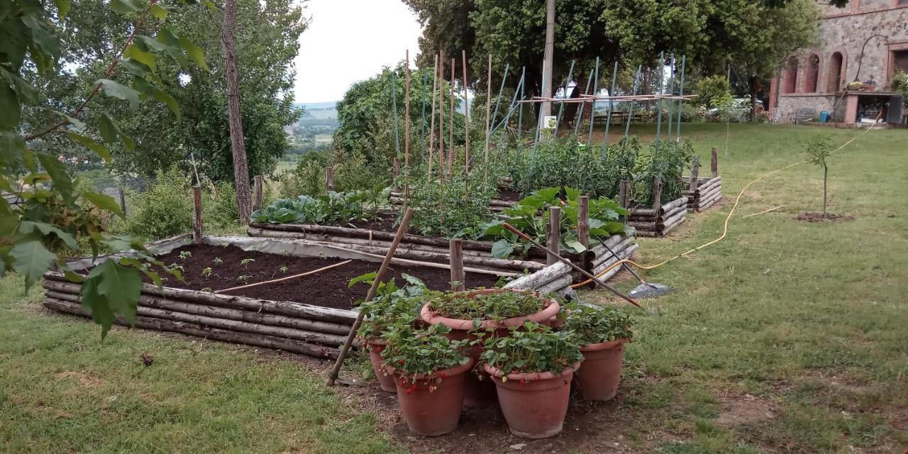 Agriturismo Riparossa 알레로나 외부 사진