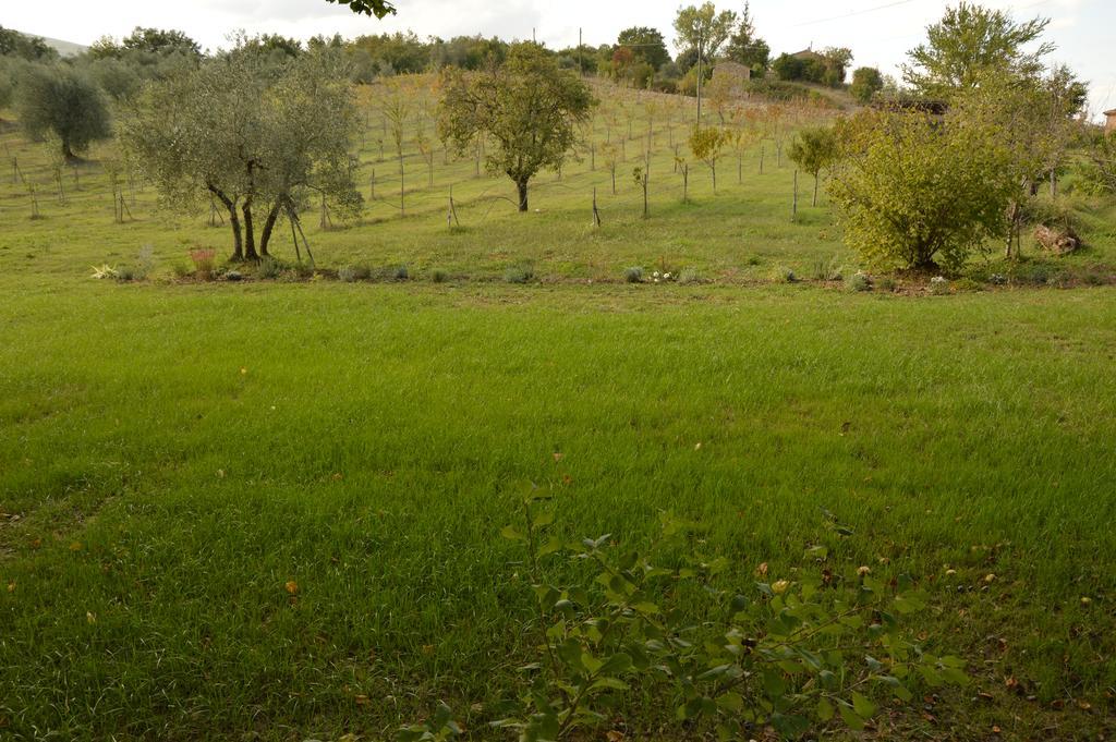 Agriturismo Riparossa 알레로나 외부 사진
