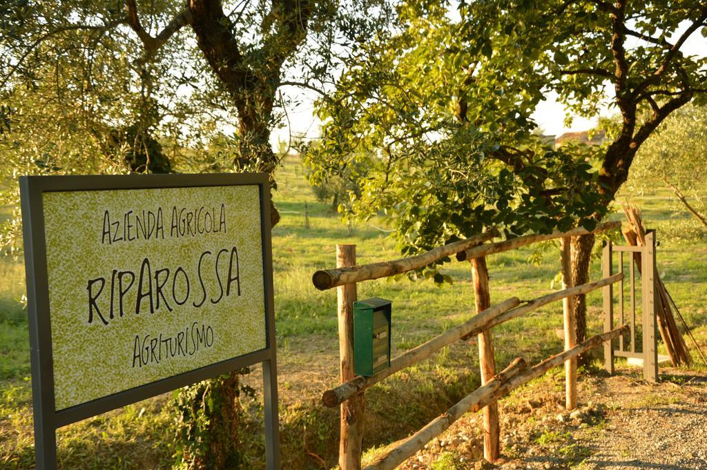 Agriturismo Riparossa 알레로나 외부 사진