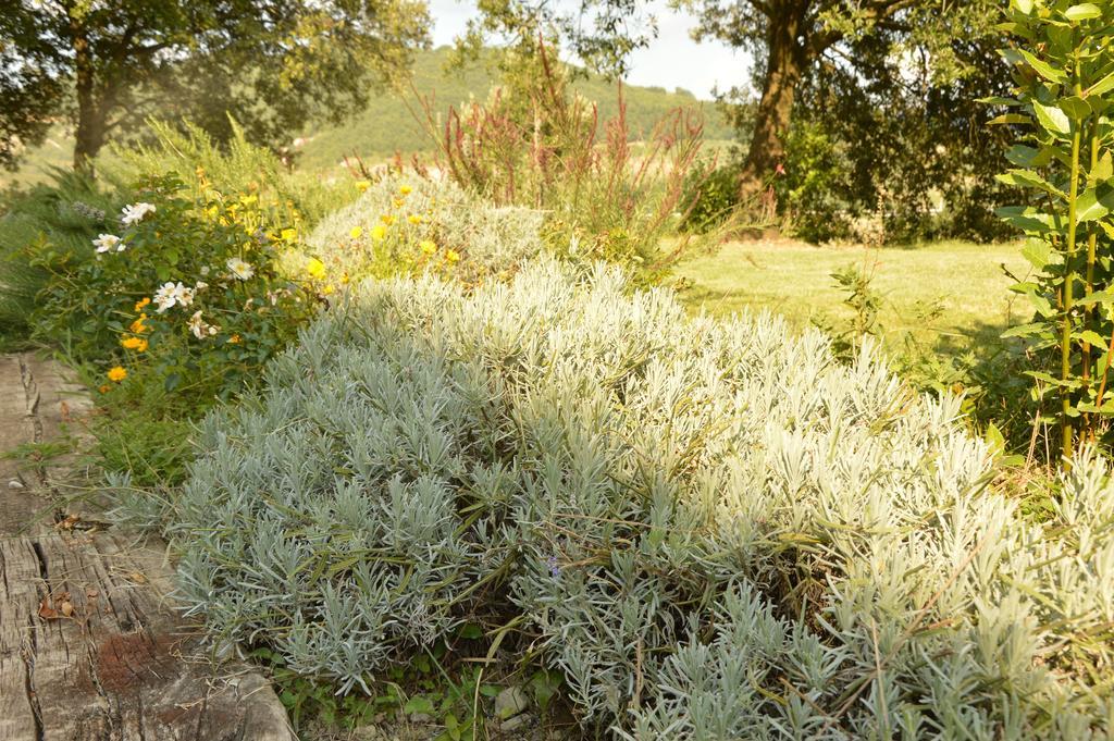 Agriturismo Riparossa 알레로나 외부 사진