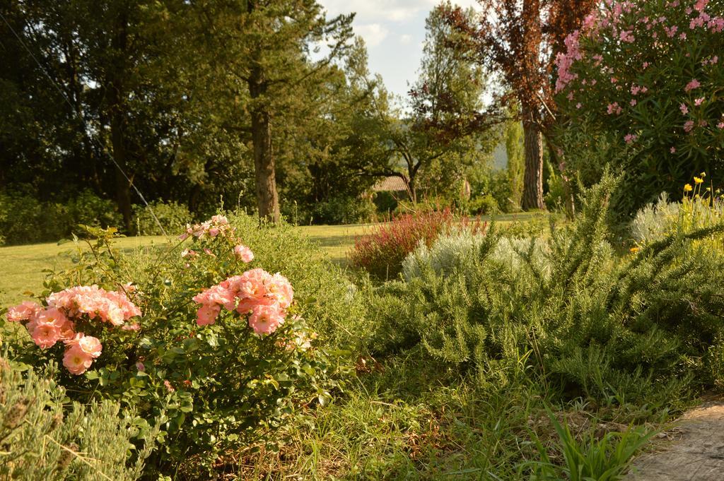 Agriturismo Riparossa 알레로나 외부 사진