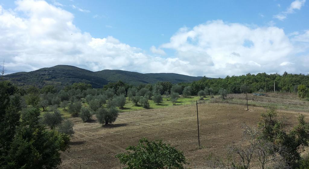 Agriturismo Riparossa 알레로나 외부 사진