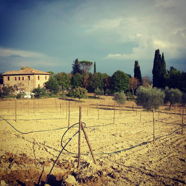 Agriturismo Riparossa 알레로나 외부 사진