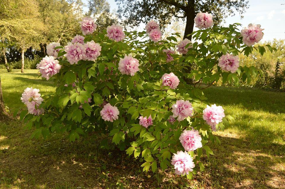 Agriturismo Riparossa 알레로나 외부 사진