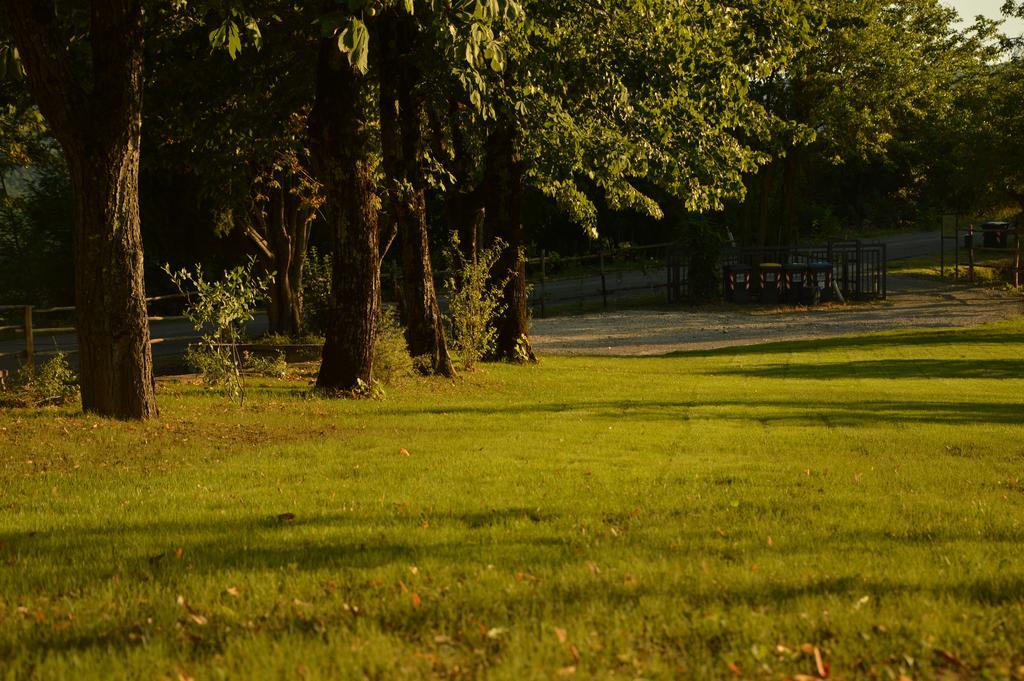 Agriturismo Riparossa 알레로나 외부 사진