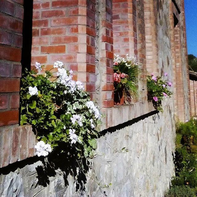 Agriturismo Riparossa 알레로나 외부 사진