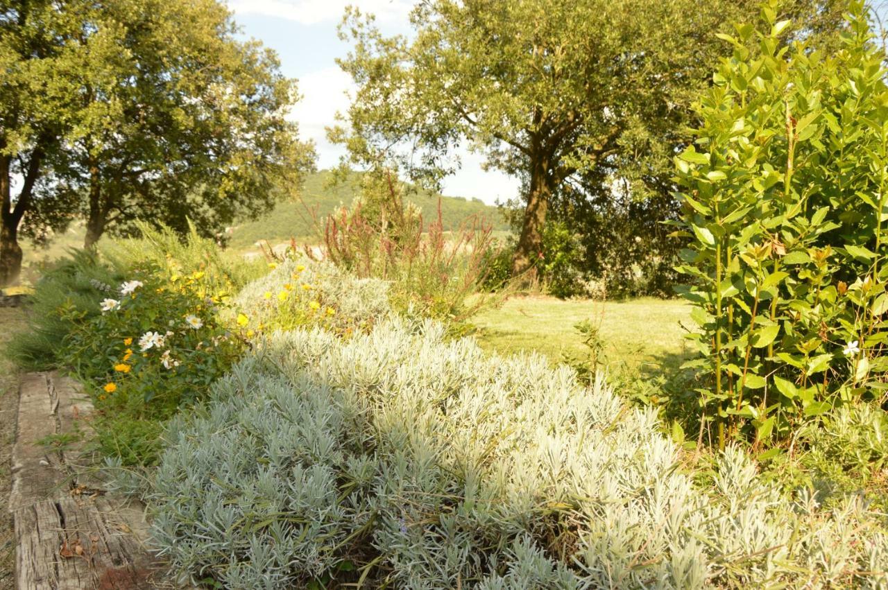 Agriturismo Riparossa 알레로나 외부 사진